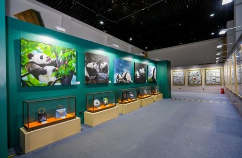 艺术联结友谊，双宝共庆甲子——庆祝中法建交60周年大熊猫金丝猴双宝文化艺术展在京启幕